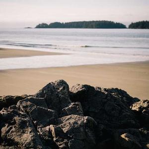 Sample digital artwork showing vibrant abstract shapes